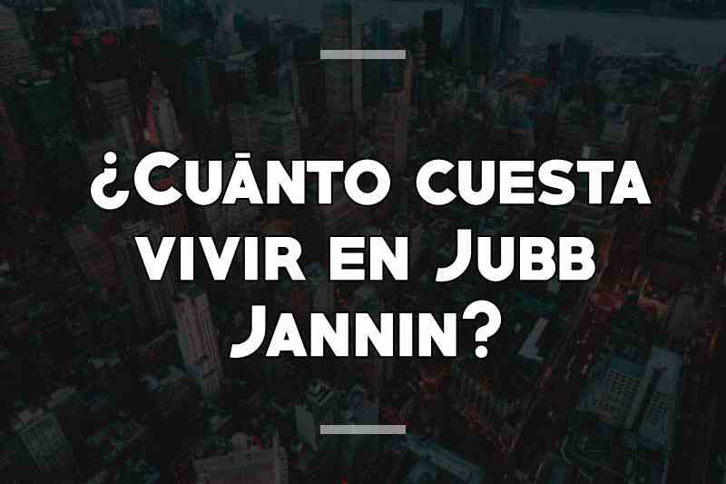 ¿Cuánto cuesta vivir en Jubb Jannin