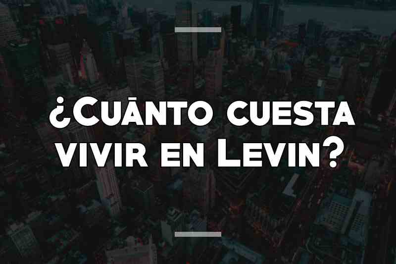 ¿Cuánto cuesta vivir en Levin