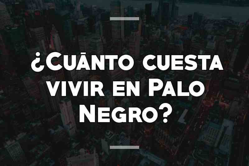 ¿Cuánto cuesta vivir en Palo Negro